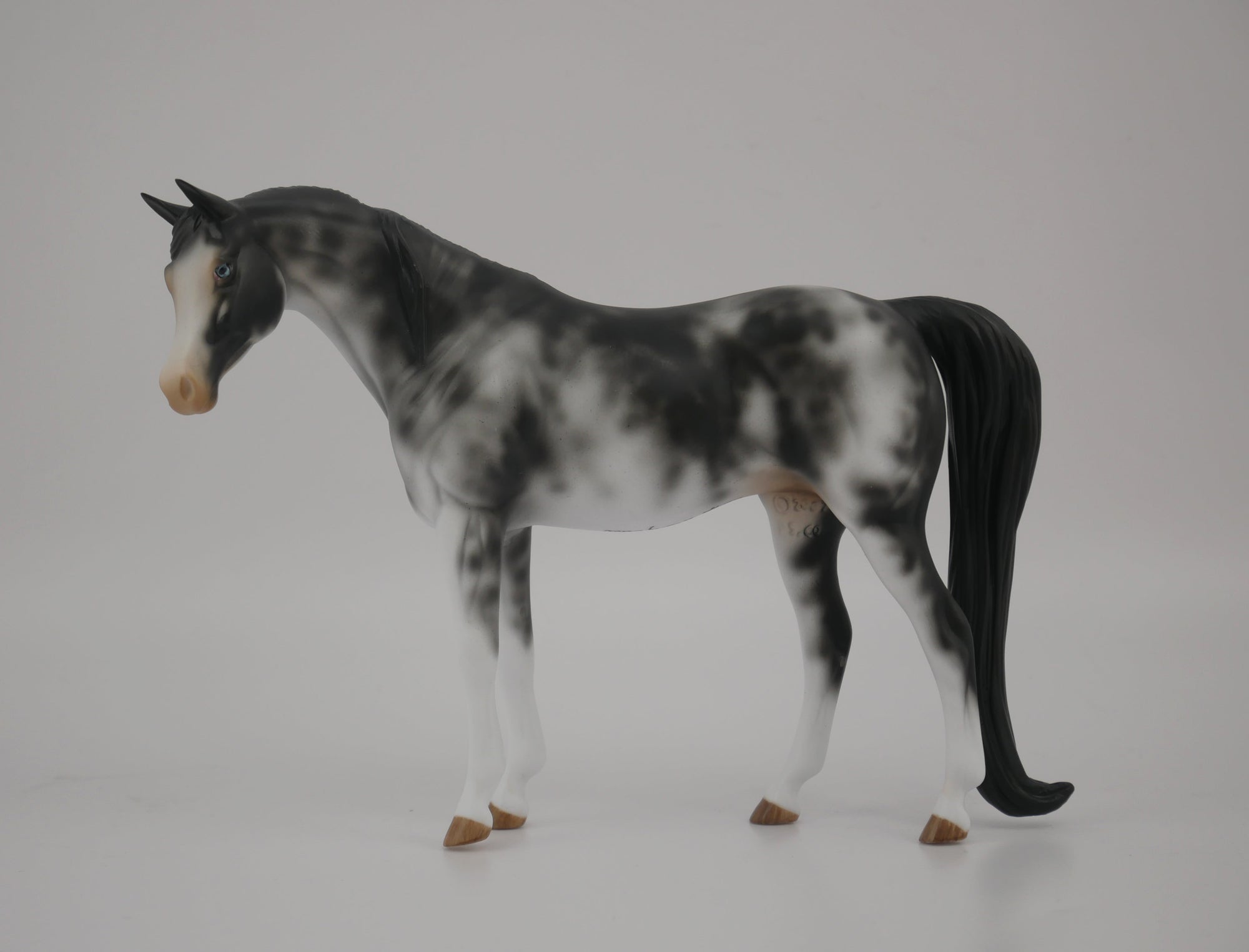 WAKE UP-OOAK BLACK SABINO ARABIAN PEBBLES BY AUDREY DIXON 7/22/20