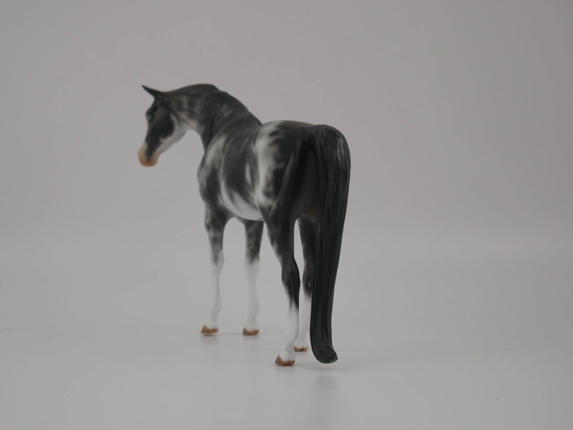 WAKE UP-OOAK BLACK SABINO ARABIAN PEBBLES BY AUDREY DIXON 7/22/20