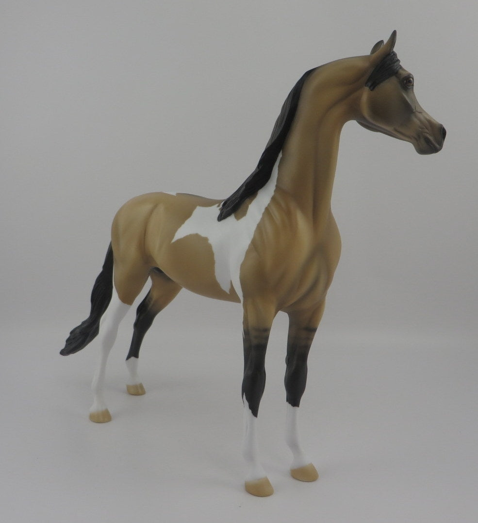 Waldo-OOAK Buckskin Pinto Arabian EQ 2020