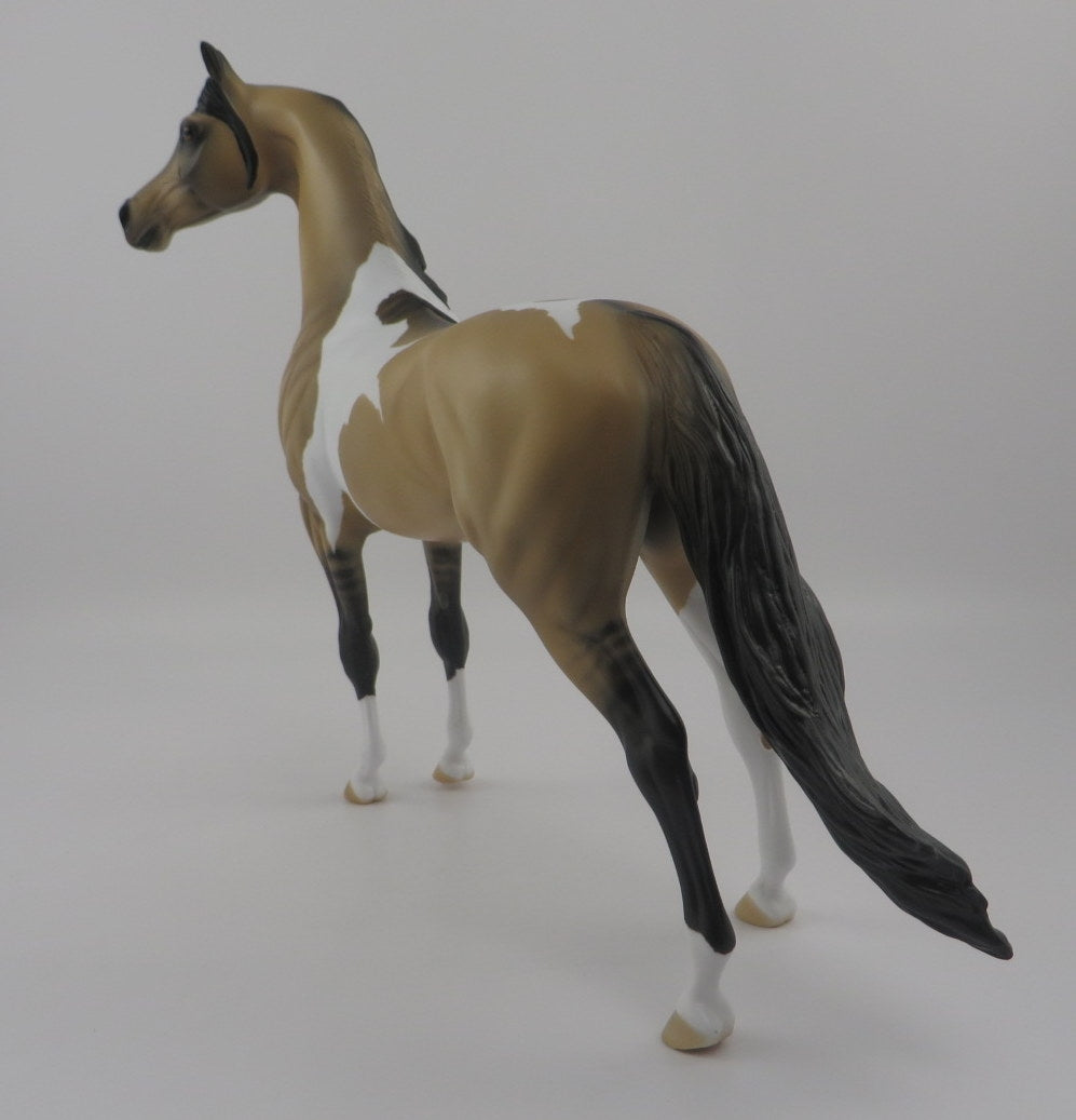 Waldo-OOAK Buckskin Pinto Arabian EQ 2020