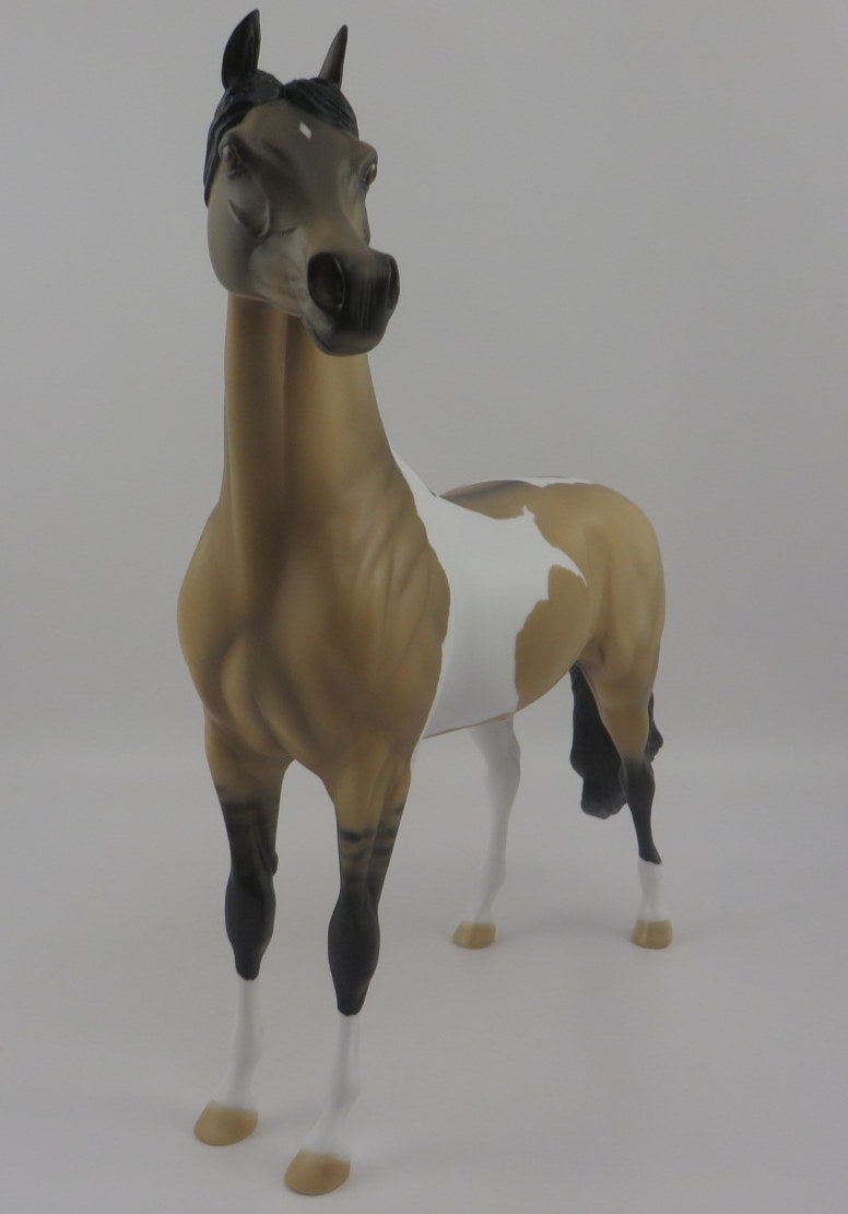 Waldo-OOAK Buckskin Pinto Arabian EQ 2020