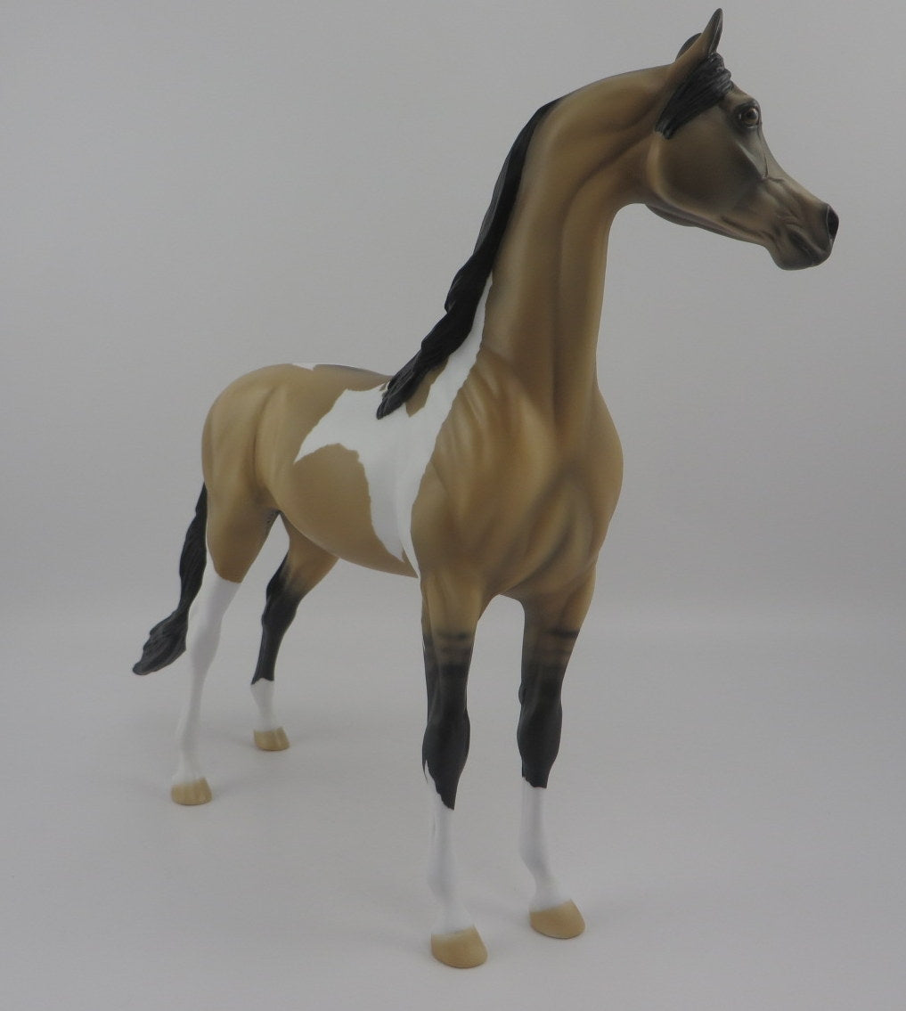 Waldo-OOAK Buckskin Pinto Arabian EQ 2020