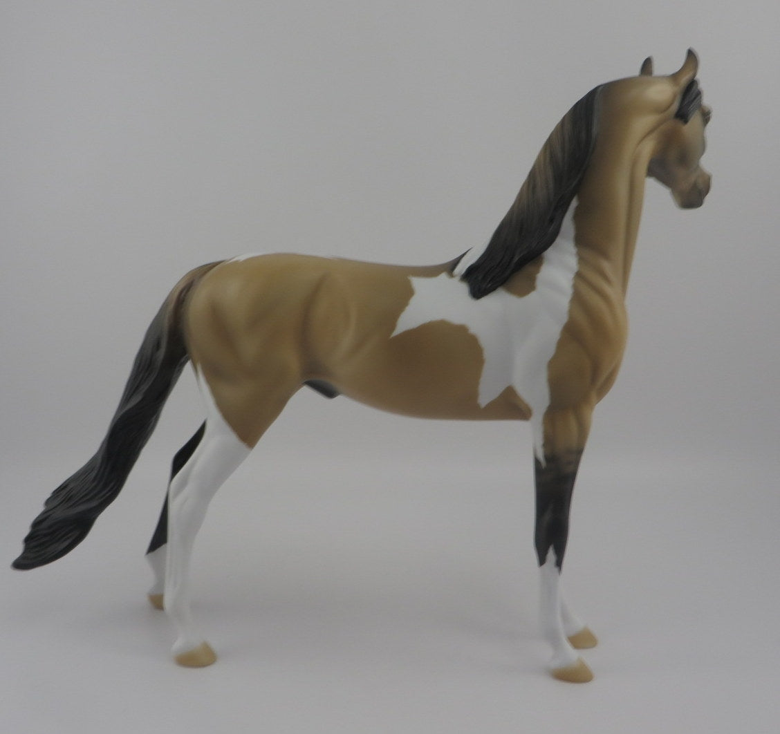 Waldo-OOAK Buckskin Pinto Arabian EQ 2020