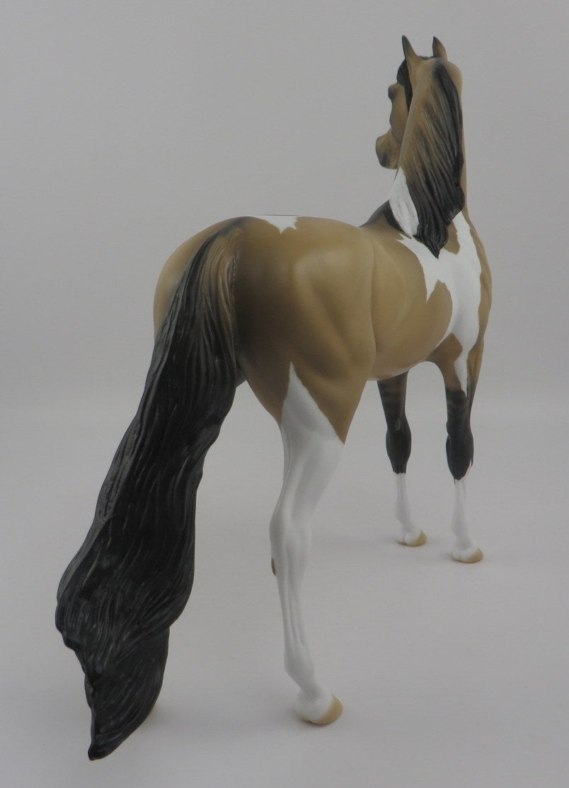 Waldo-OOAK Buckskin Pinto Arabian EQ 2020