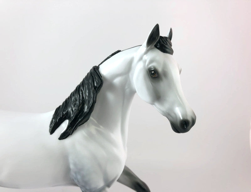 THE GREAT WALLENDEZ - LE-10 DAPPLE GREY ARABIAN MARE BY AUDREY DIXON