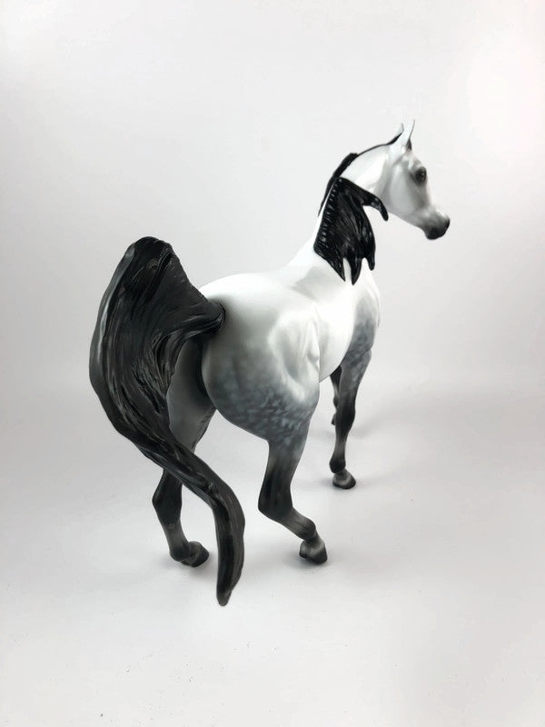 THE GREAT WALLENDEZ - LE-10 DAPPLE GREY ARABIAN MARE BY AUDREY DIXON