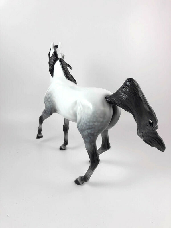 THE GREAT WALLENDEZ - LE-10 DAPPLE GREY ARABIAN MARE BY AUDREY DIXON