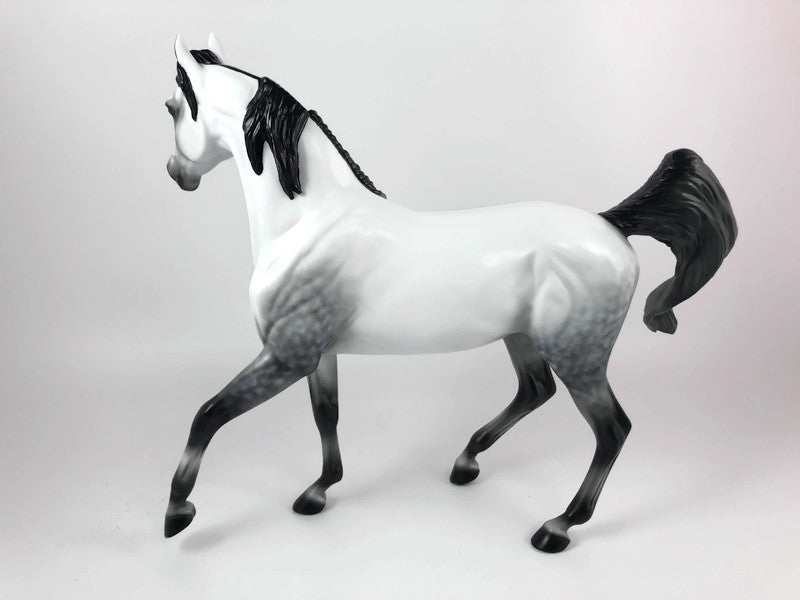 THE GREAT WALLENDEZ - LE-10 DAPPLE GREY ARABIAN MARE BY AUDREY DIXON