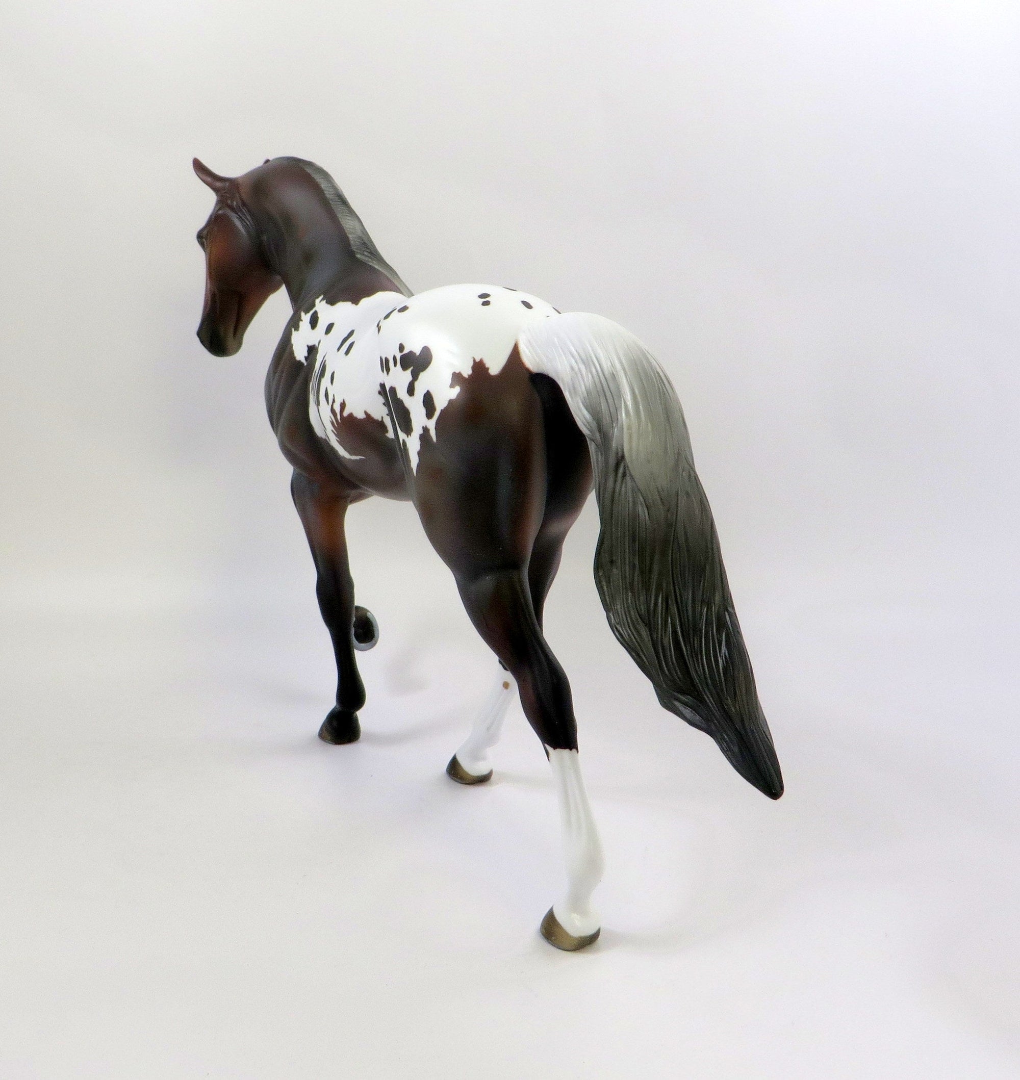 WARWICK-OOAK APPALOOSA TENNESSEE WALKER MODEL HORSE EQ 2019