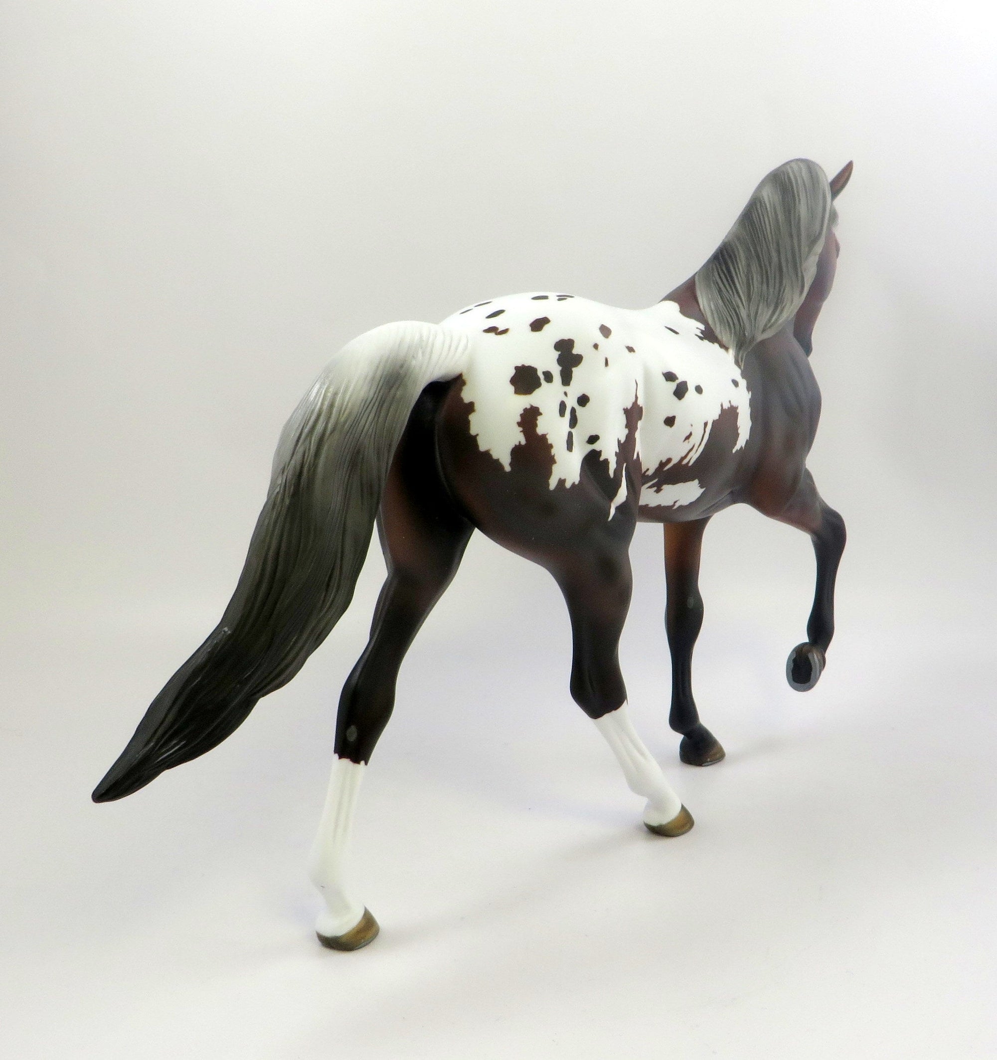 WARWICK-OOAK APPALOOSA TENNESSEE WALKER MODEL HORSE EQ 2019
