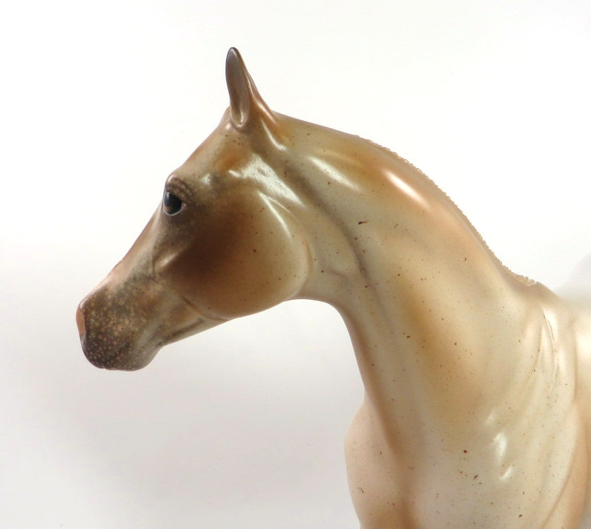 WATER BOY- OOAK CHESTNUT ROAN ISH MODEL HORSE BY AUDREY DIXON SB20