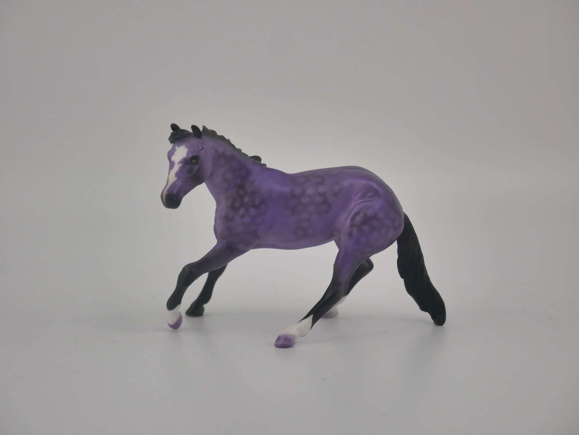 EQUILOCITY 2020 GRAB BAGS