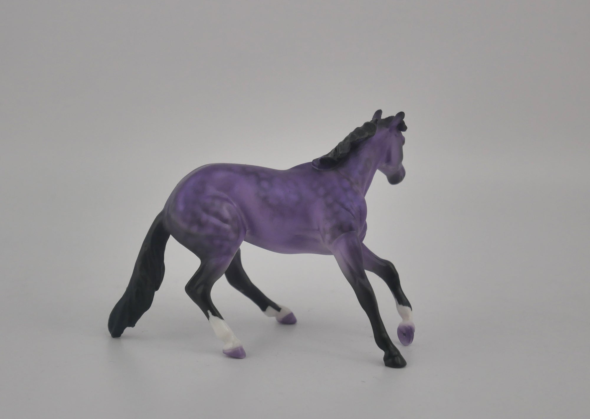 EQUILOCITY 2020 GRAB BAGS