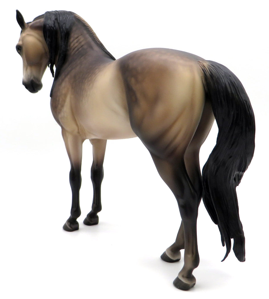 WHAT&#39;S SHAKIN-OOAK  DAPPLE BUCKSKIN ANDALUSIAN BY SHERYL LEISURE 1/17/21