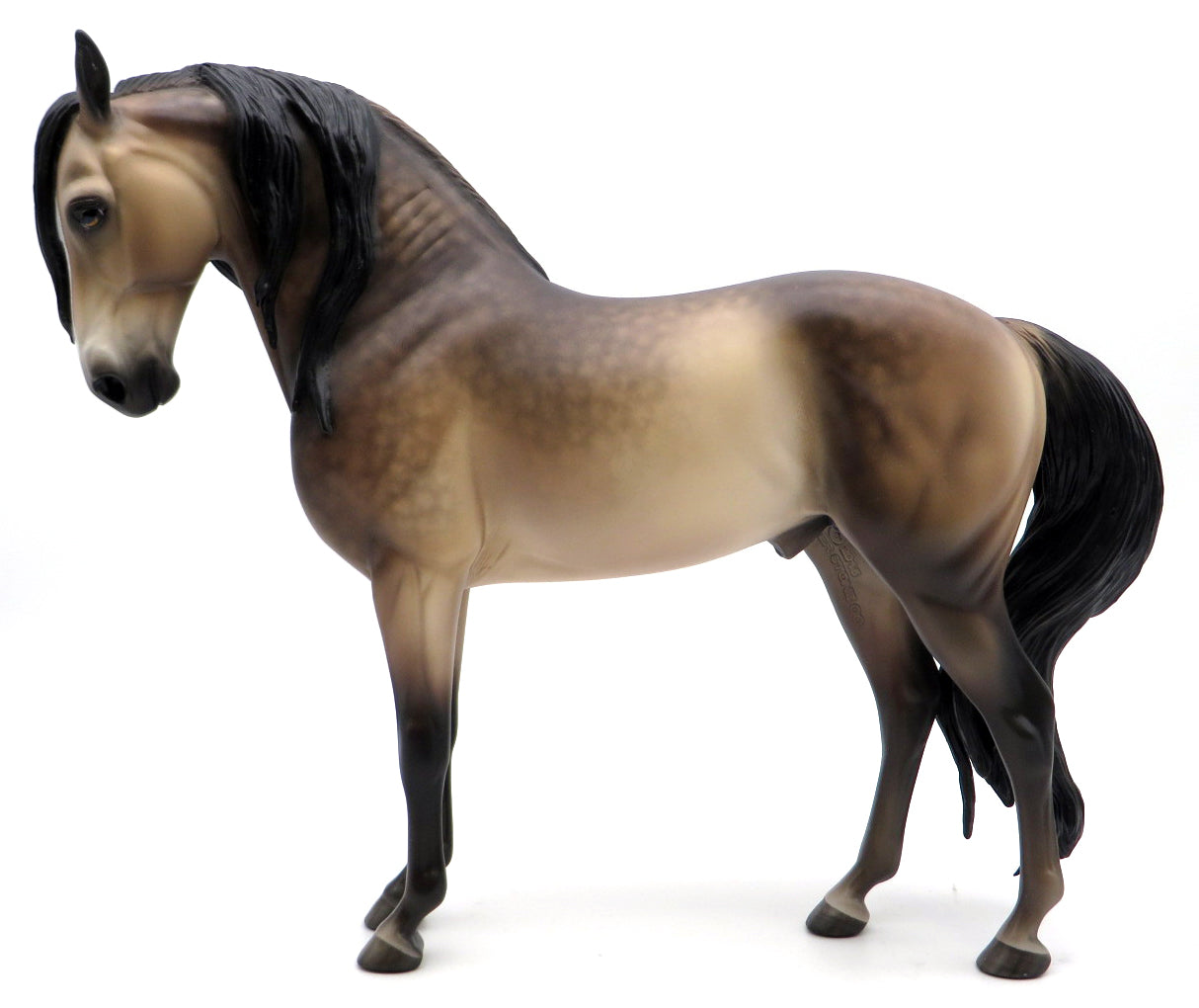 WHAT&#39;S SHAKIN-OOAK  DAPPLE BUCKSKIN ANDALUSIAN BY SHERYL LEISURE 1/17/21