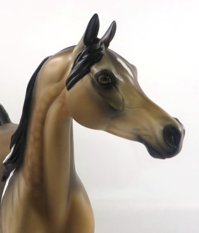 WHEN LIGHTENING STRIKES SOOTY BUCKSKIN ARABIAN MODEL HORSE 2/12/20