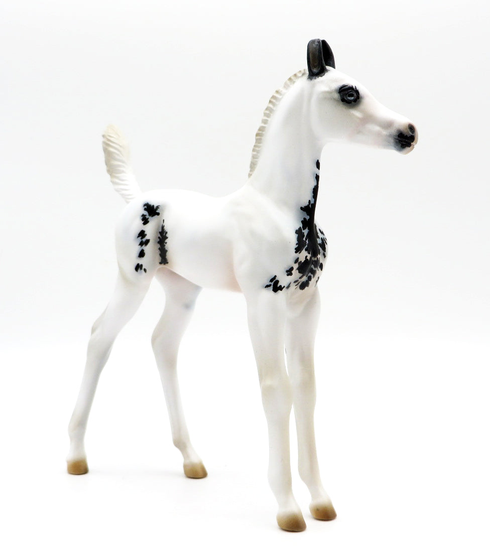 Wicca - Maximum Sabino Marwari Foal - Run of 15 - MM 2021