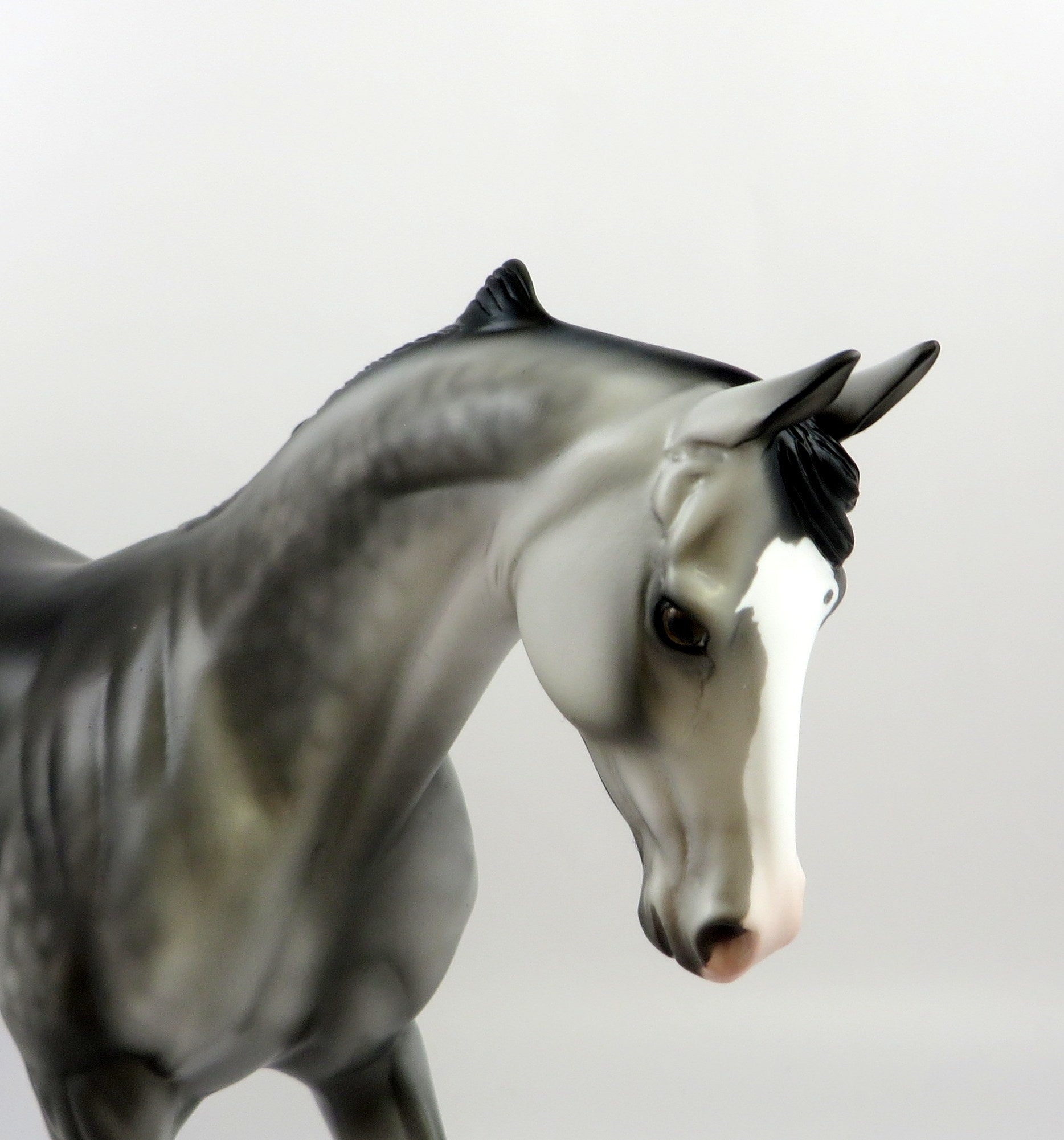 PRINCE WILLIAM-LE-5 DAPPLE ROSE GREY THOROUGHBRED MODEL HORSE EQ 19 noncustom