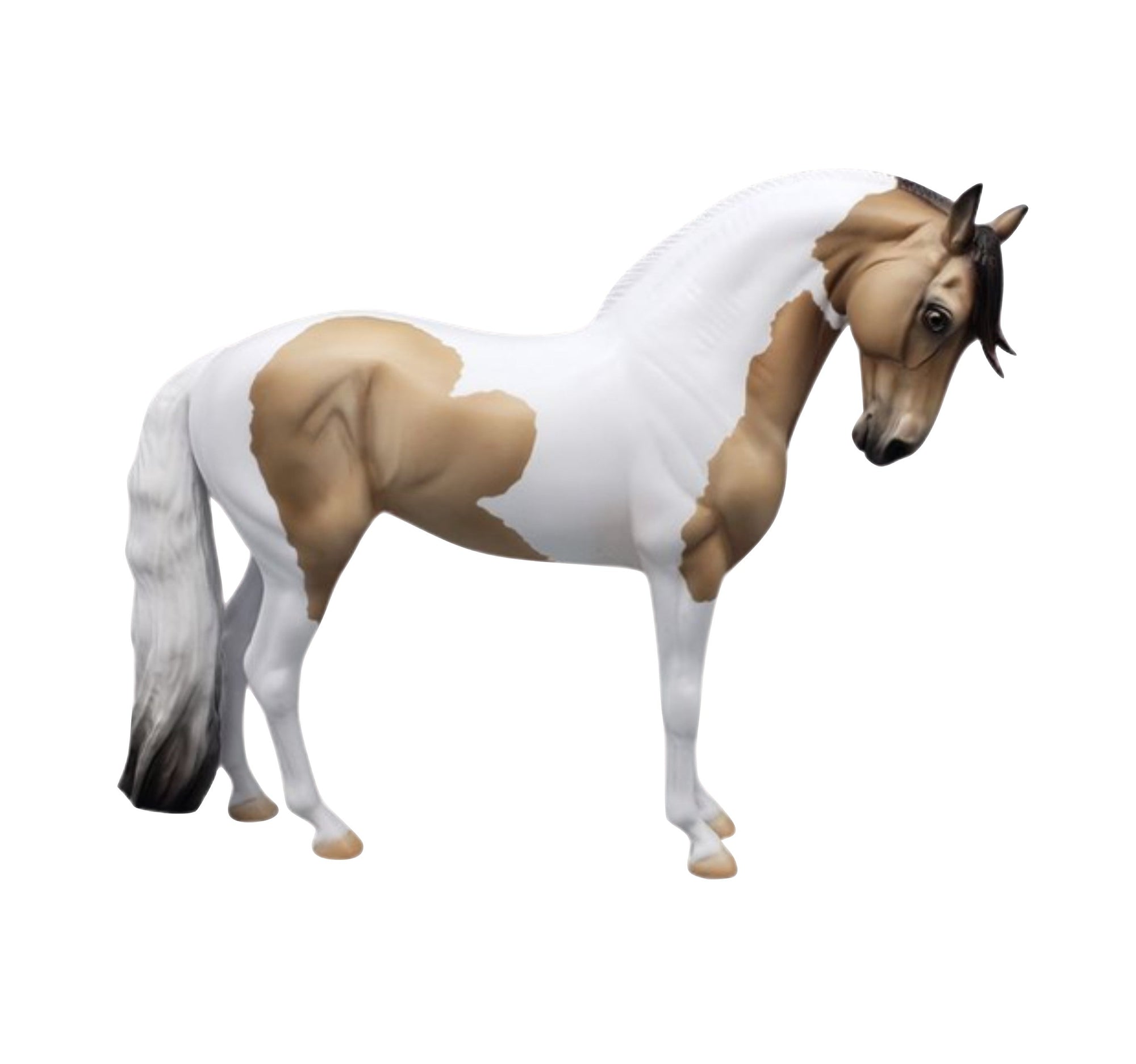 Inspired By Winter Buckskin Tobiano Andalusian Mare by Jess Hamill AoTH23