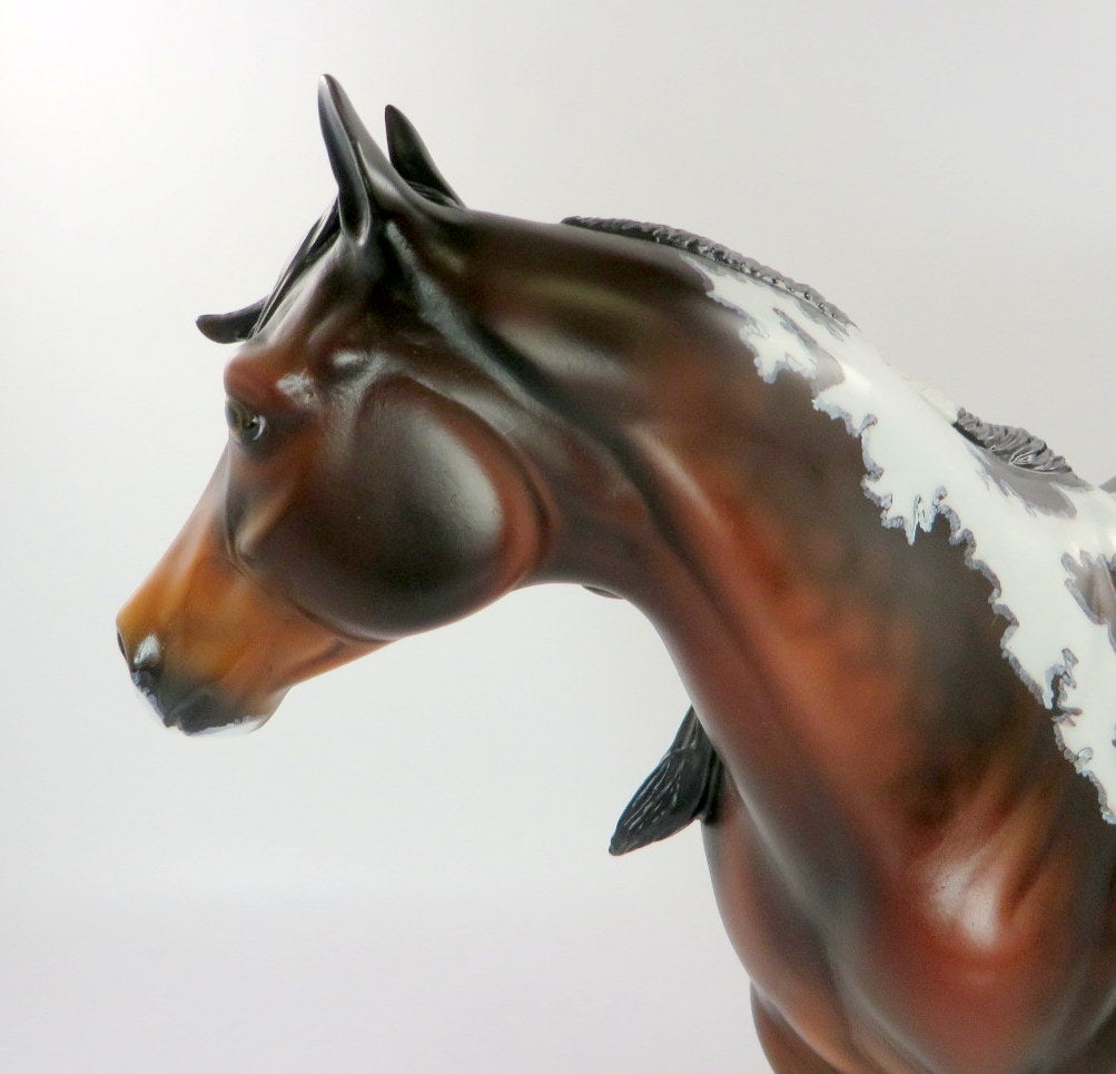 WISH UPON A STAR-OOAK DAPPLE BAY PAINT WITH MAPPING WHS 19