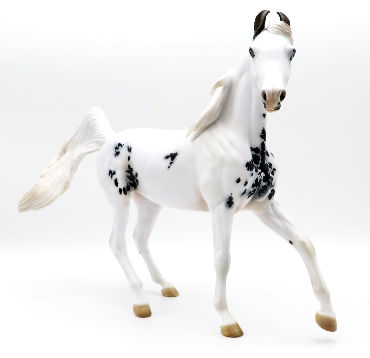 ⭐︎幻のWHITE HORSE⭐︎ Dominant White 13 (W13) in Horses: Genetic Traits and