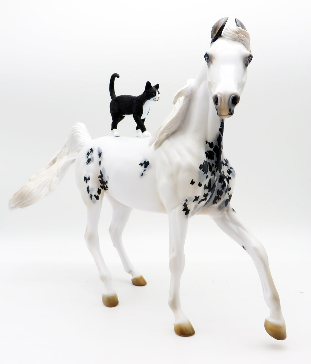 Witching Hour - Maximum Sabino Marwari - Run of 30 - MM 2021