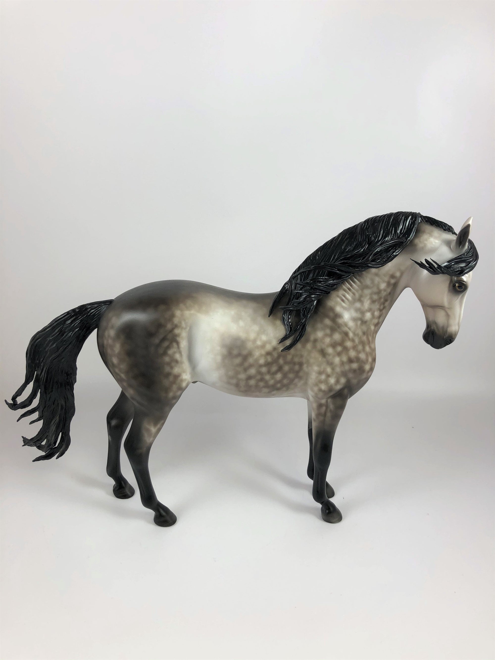 WONDEROUS-OOAK STAR DAPPLE GREY ANDALUSIAN BY SHERYL LESIURE LHS 19