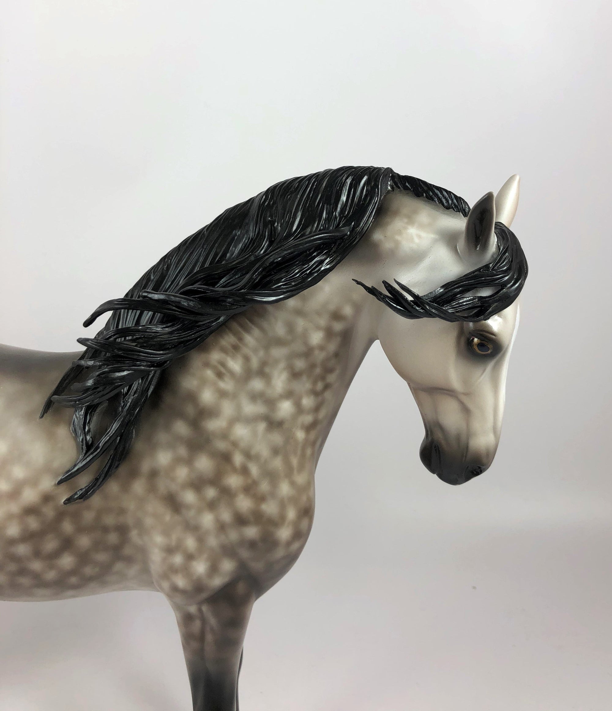 WONDEROUS-OOAK STAR DAPPLE GREY ANDALUSIAN BY SHERYL LESIURE LHS 19