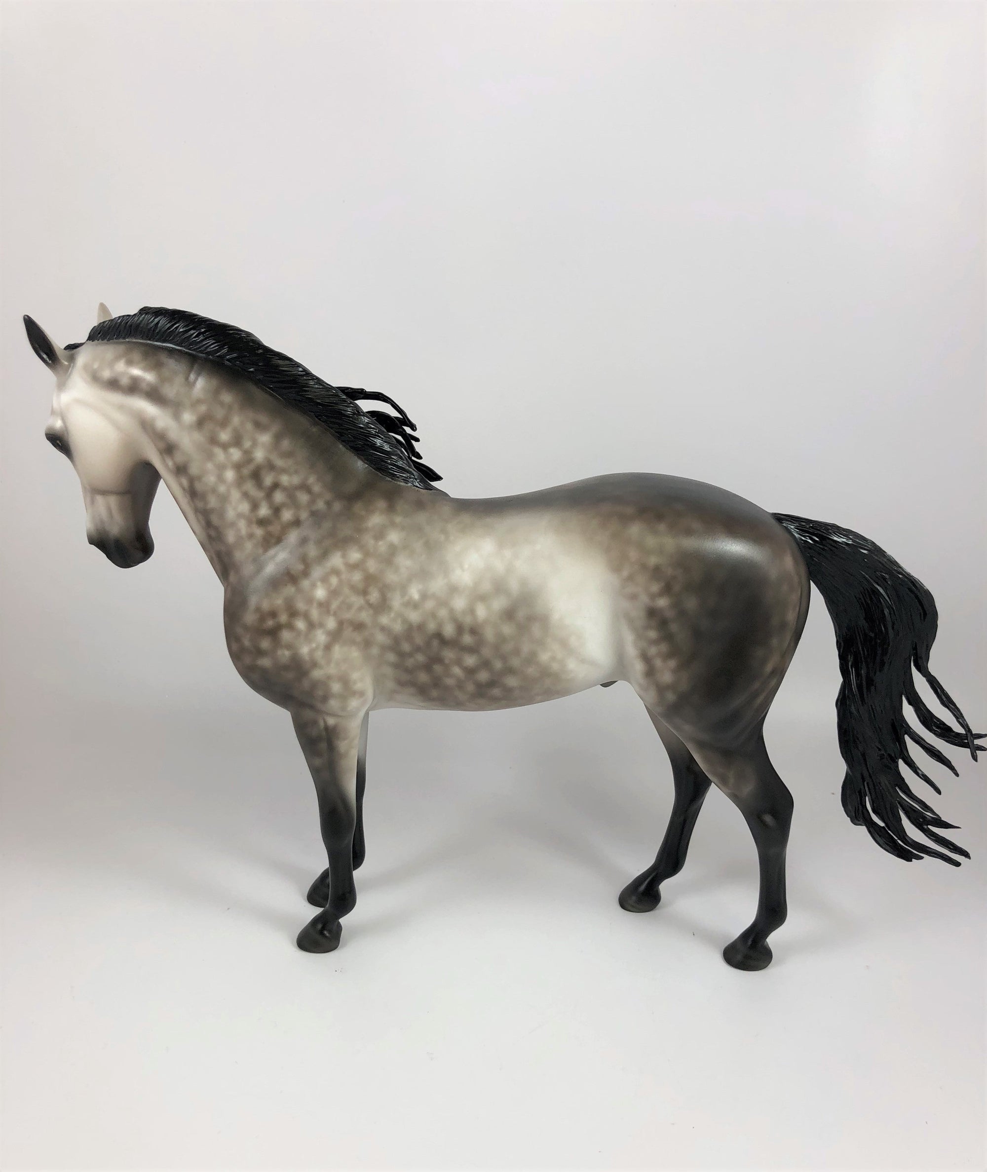 WONDEROUS-OOAK STAR DAPPLE GREY ANDALUSIAN BY SHERYL LESIURE LHS 19