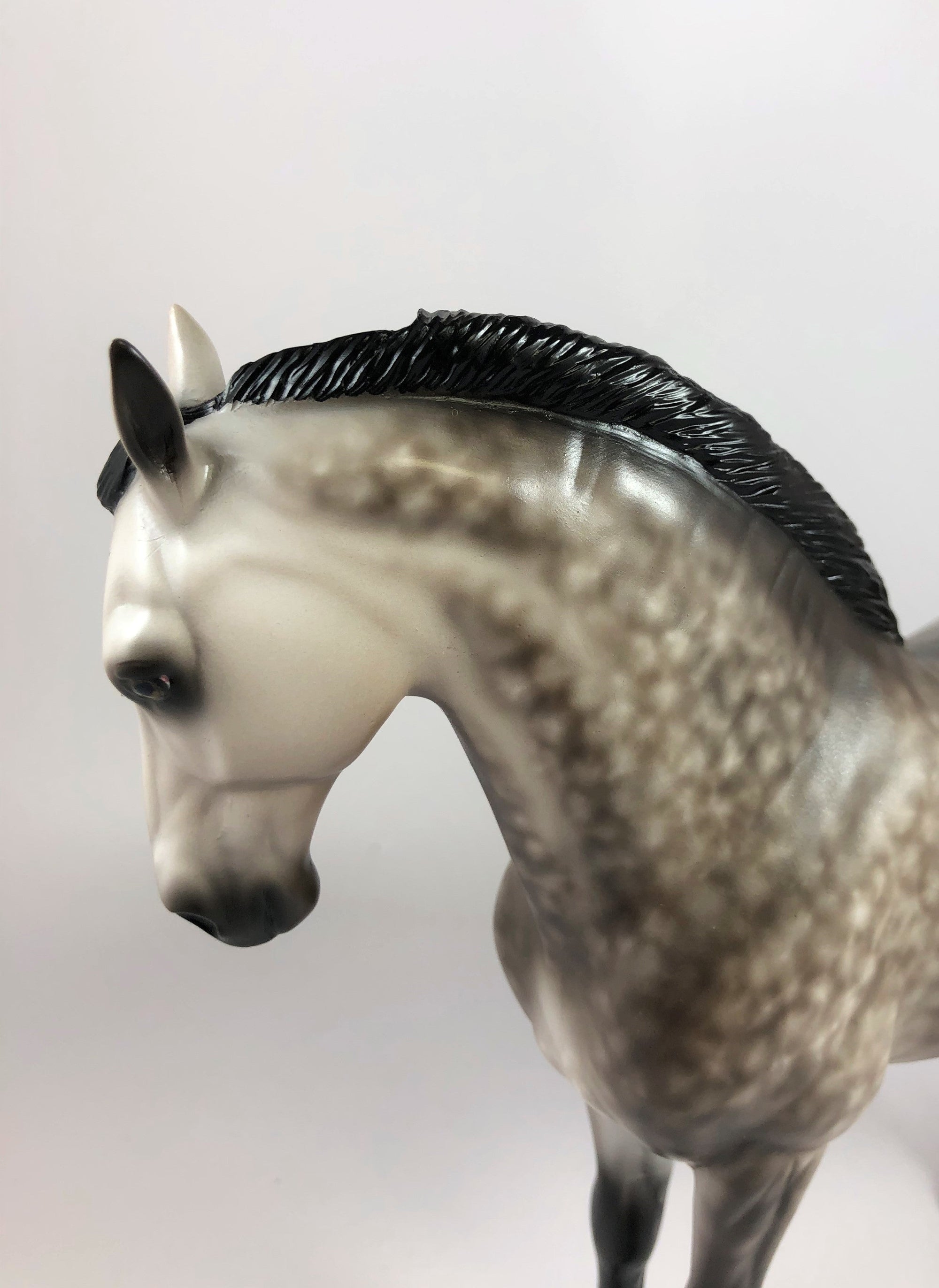 WONDEROUS-OOAK STAR DAPPLE GREY ANDALUSIAN BY SHERYL LESIURE LHS 19