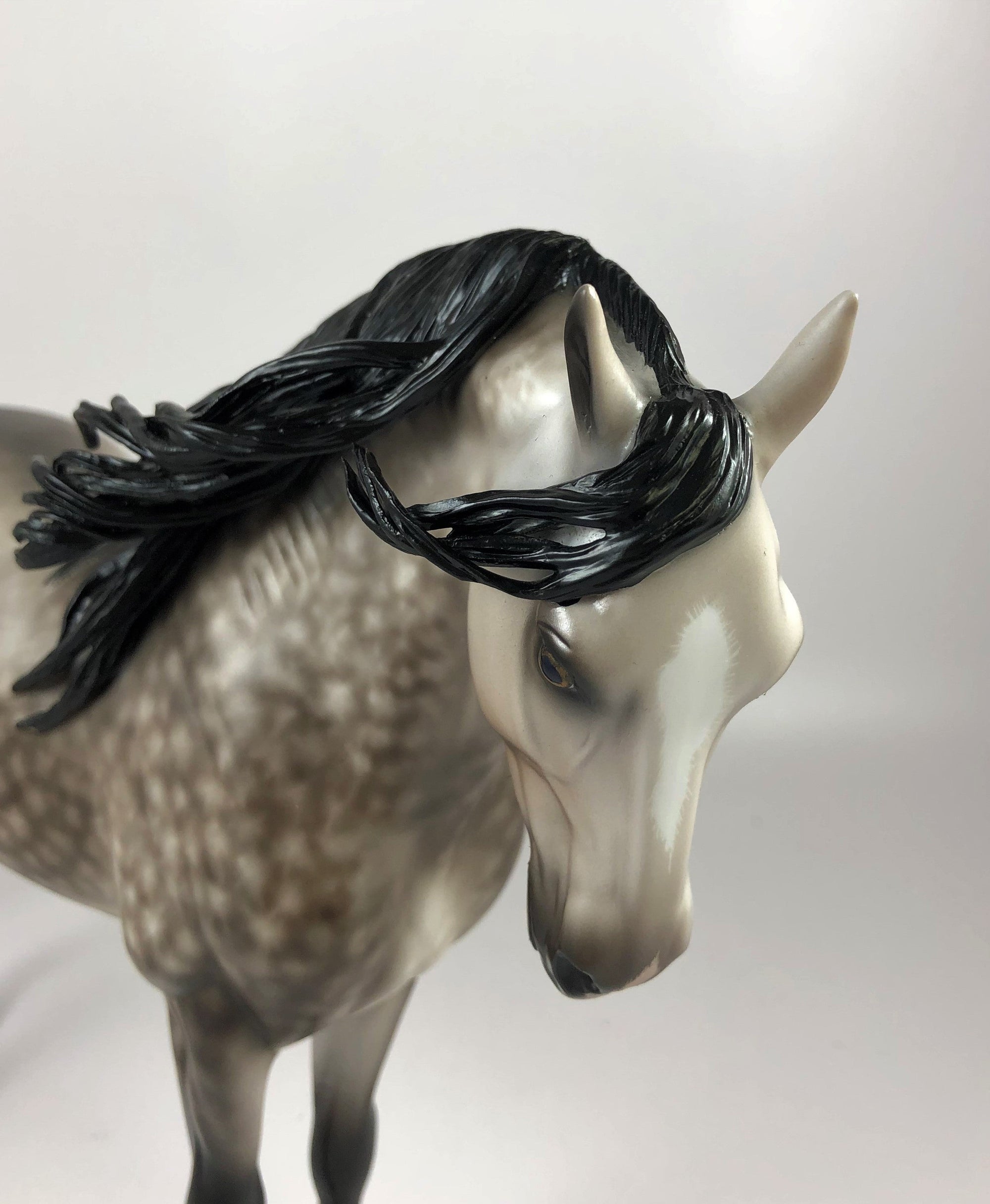 WONDEROUS-OOAK STAR DAPPLE GREY ANDALUSIAN BY SHERYL LESIURE LHS 19
