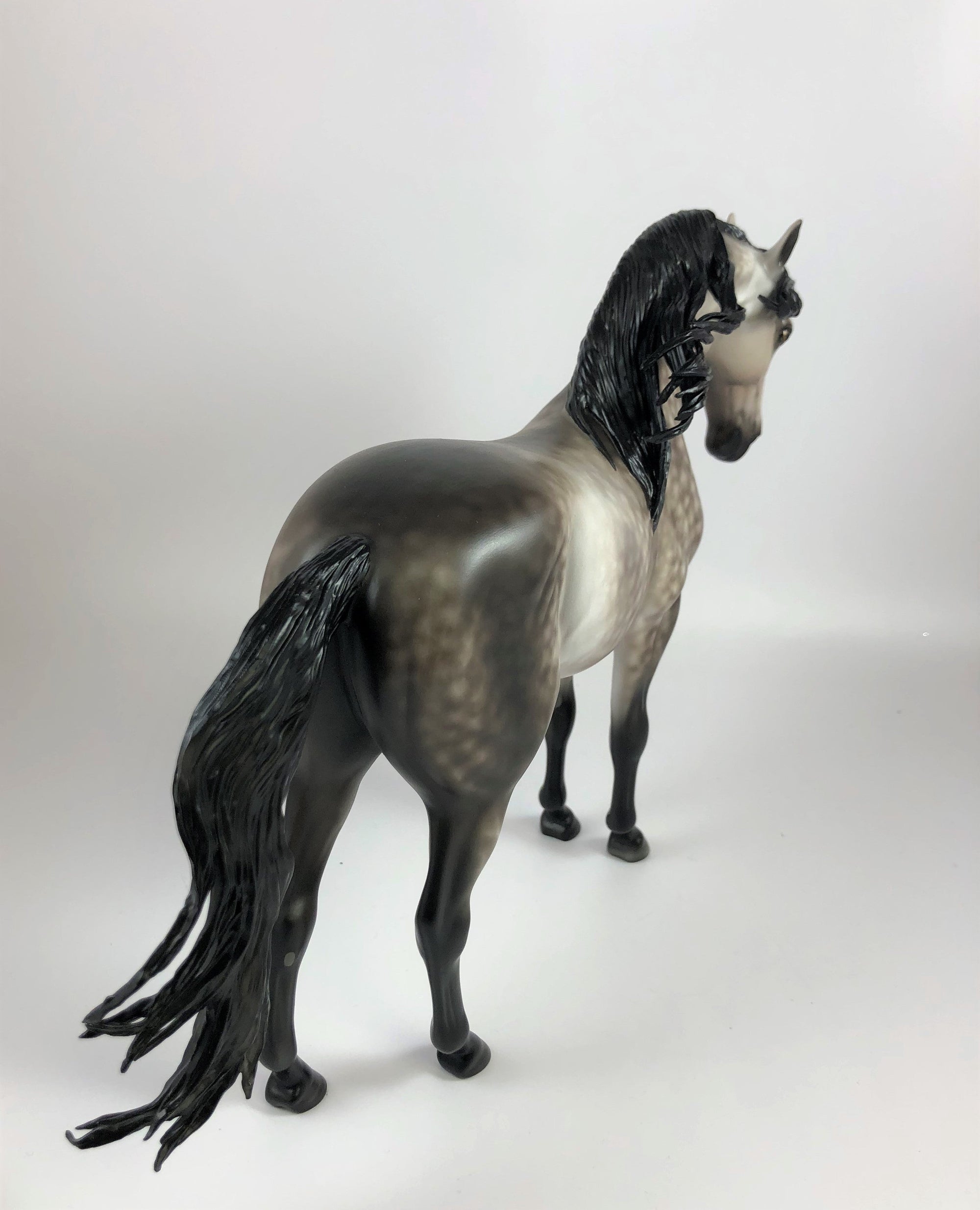 WONDEROUS-OOAK STAR DAPPLE GREY ANDALUSIAN BY SHERYL LESIURE LHS 19