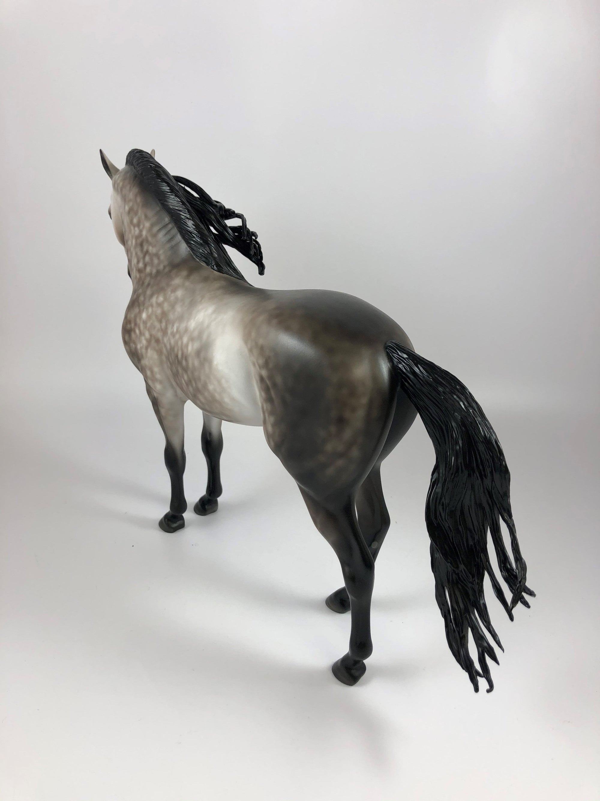 WONDEROUS-OOAK STAR DAPPLE GREY ANDALUSIAN BY SHERYL LESIURE LHS 19