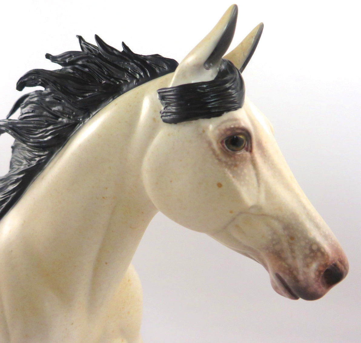 WOODEN SOLDIER-LE-14 BUCKSKIN APPY PALOUSE MODEL HORSE BY AUDREY DIXON WHS19