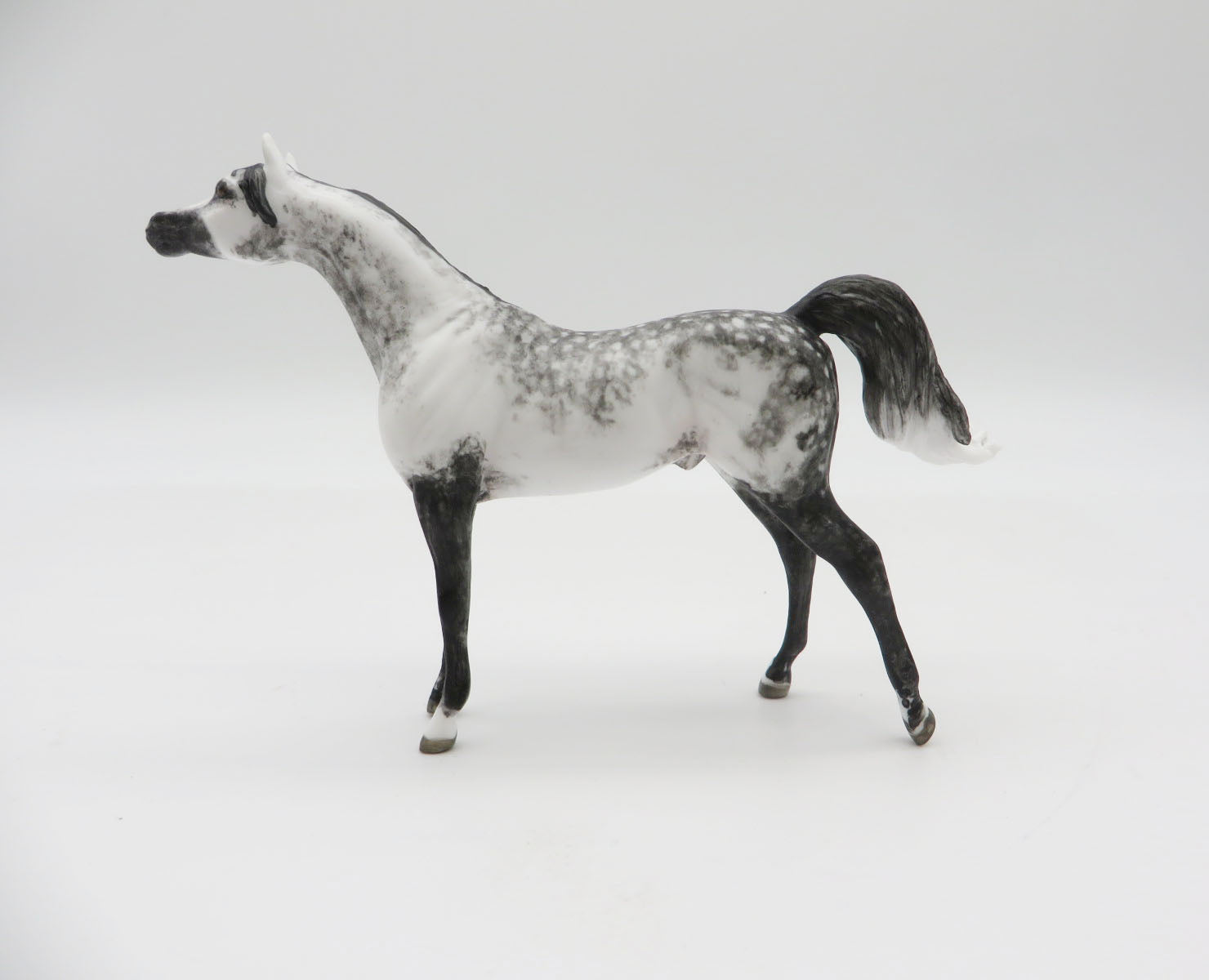 WRANGELL - OOAK Dapple Grey Arabian Chip LHS 22
