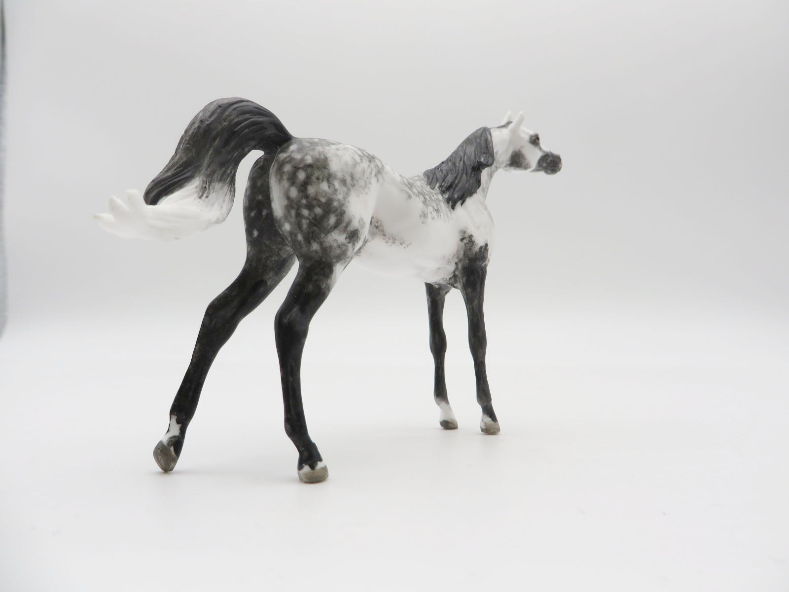 WRANGELL - OOAK Dapple Grey Arabian Chip LHS 22