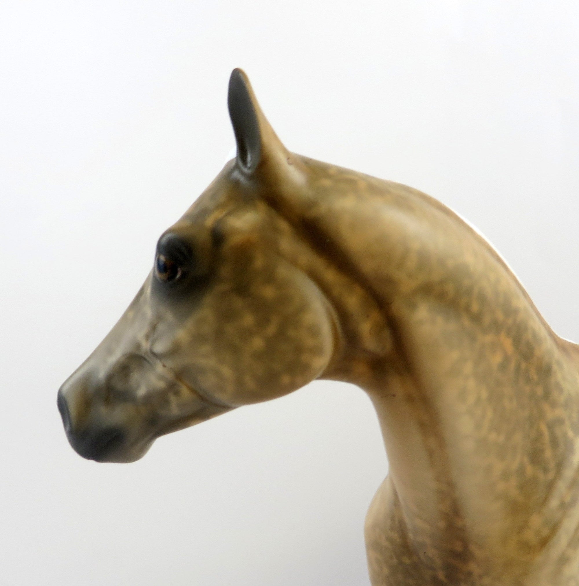 WYOT-OOAK SOOTY PALOMINO ISH MODEL HORSE BY AL EQ 2019