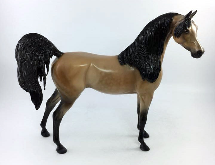 ZELLY-LE-15 BUCKSKIN ARABIAN CM MANE AND TAIL EQ 2018