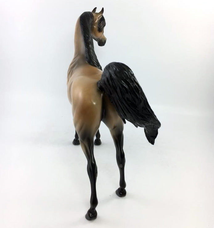 ZELLY-LE-15 BUCKSKIN ARABIAN CM MANE AND TAIL EQ 2018