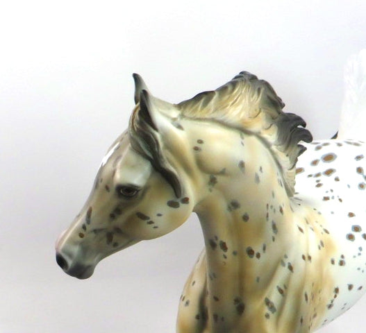 ZENA-OOAK BUCKSKIN ARABIAN MARE BY DAWN QUICK 1-3-20