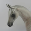 ZOMBIE-OOAK  FLEA BITTEN LIGHT GREY PONY MODEL HORSE BY KAYLA WESSE MM19