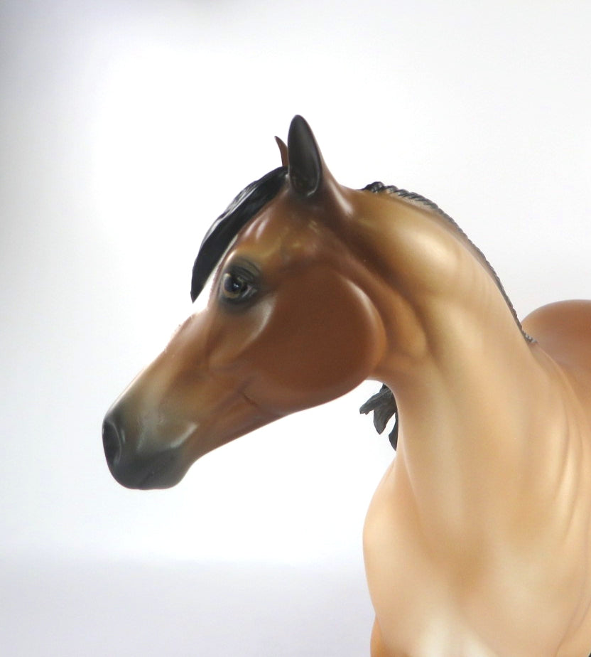 ZUPER-OOAK BAY RABICANO ISH MODEL HORSE BY SHERYL LEISURE 2/20/20